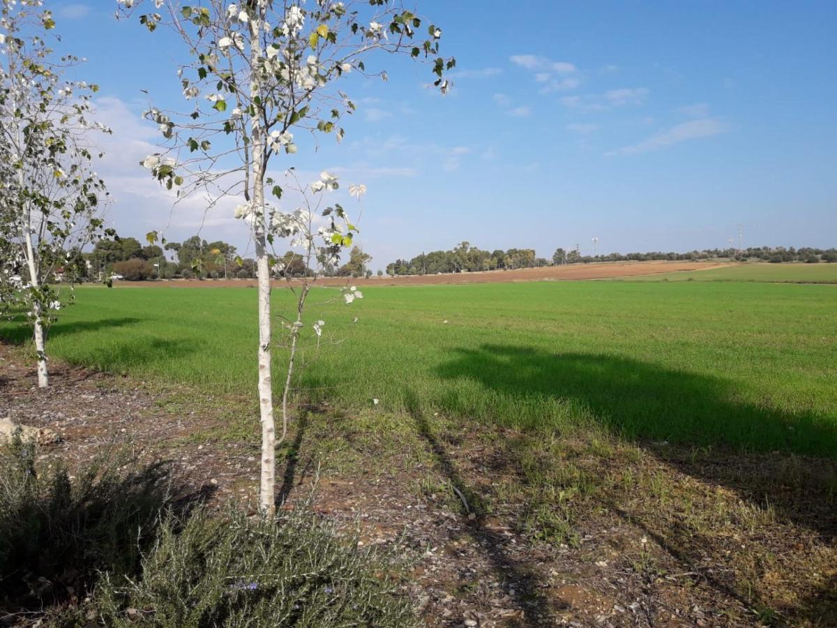 Kibbutz Hatzor A Room Close To Ashdod Hatzor Ashdod Exterior photo